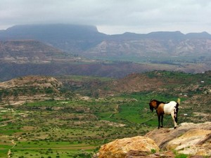 Włosi nie zdołali skolonizować Etiopii. Według legendy, kraj ten z powodzeniem bronił swej niepodległości przez 3000 lat. Na zdjęciu wygasły wulkan Ras Daszan (fot: ethiopic.com)