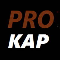 www.prokapitalizm.pl