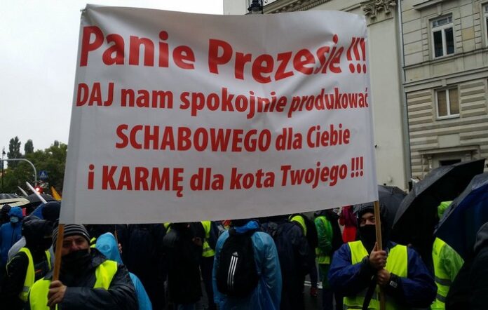 Rolnicy protestują… Dlaczego?