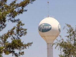 Pigułka na covid-19 firmy Pfizer w każdym domu!