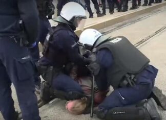 Jeśli chcesz żyć, rób to, co każe ci pan Totalitaryzm PiS