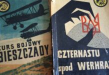 Żółty Tygrys