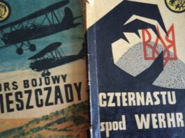 Żółty Tygrys