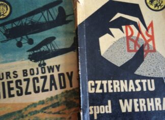 Żółty Tygrys