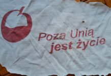 Poza Unią jest życie